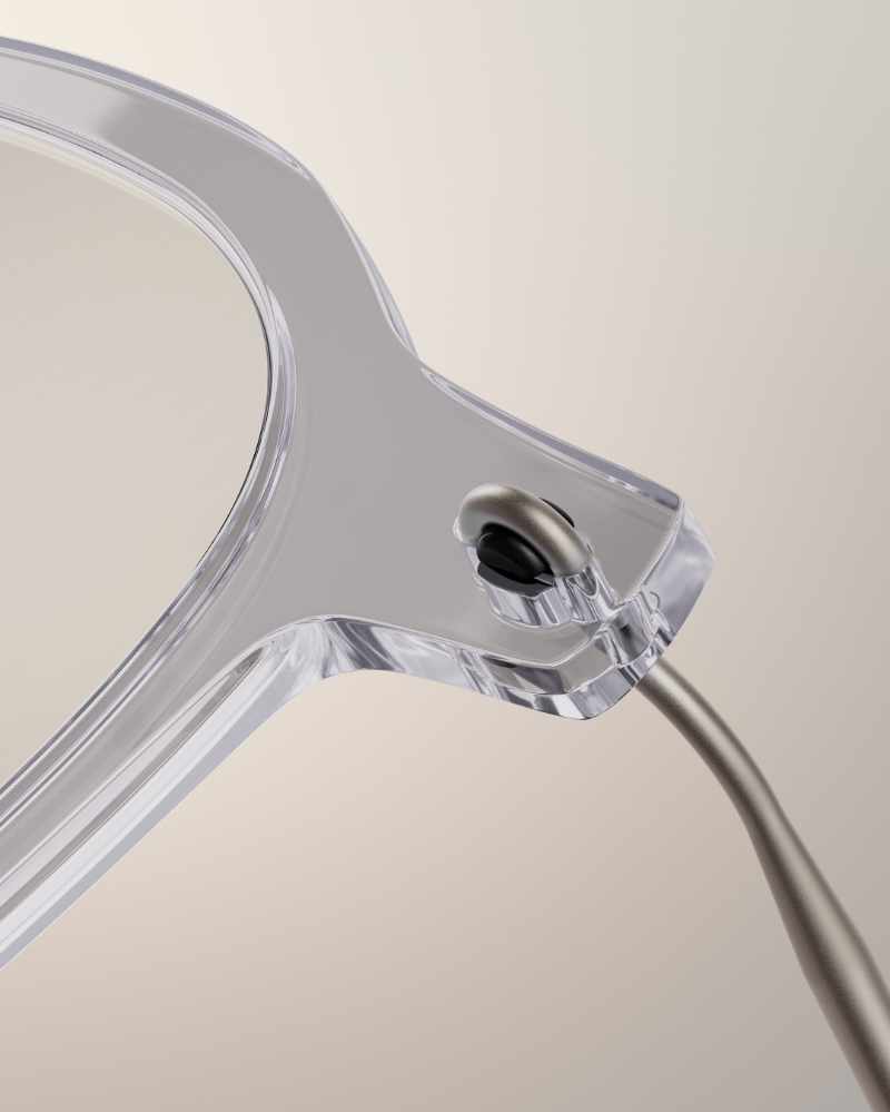 Anissa wears n.o.w. titanium - hinge